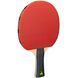 Набор для настольного тенниса Joola Quattro 4 Bats 10 Balls (54818) Joola_930795 фото 2
