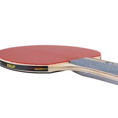 Набір для настільного тенісу Joola Team School 4 Bats 8 Balls (54825) Joola_930798 фото
