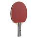 Набір для настільного тенісу Joola Team School 4 Bats 8 Balls (54825) Joola_930798 фото 4
