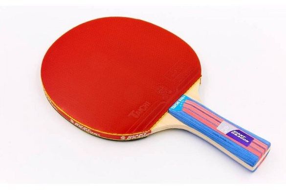 Набор для настольного тенниса Giant Dragon TAICHI P40+3* (2 ракетки, 3 мяча с чехлом)