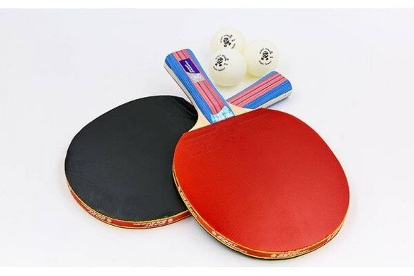Набор для настольного тенниса Giant Dragon TAICHI P40+3* (2 ракетки, 3 мяча с чехлом)