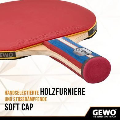 Ракетка для настольного тенниса Gewo Standard Pro FL (600300001) Gewo_931331 фото