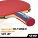 Ракетка для настольного тенниса Gewo Standard Pro FL (600300001) Gewo_931331 фото 2