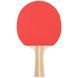 Набор для настольного тенниса Stiga Sonic Hobby 2 Bats 3 Balls (1220-2816-01) Stiga_931158 фото 3