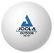 Мячи для настольного тенниса Joola Outdoor ball 6 шт (42181) Joola_930962 фото 1