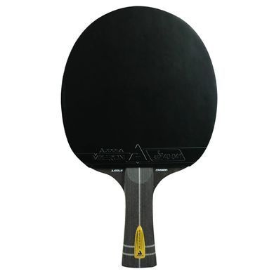 Ракетка для настільного тенісу Joola Infinity Carbon (54207) Joola_930762 фото