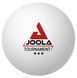 М'ячі для настільного тенісу Joola Tournament 40+ 12 шт (44322) Joola_930812 фото 1