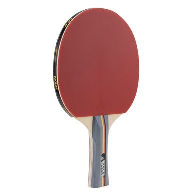 Набор для настольного тенниса Joola Team School 4 Bats 8 Balls (54825) (Special Offer) Joola_931378 фото