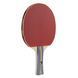 Набор для настольного тенниса Joola Team School 4 Bats 8 Balls (54825) (Special Offer) Joola_931378 фото 5