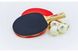 Набор для настольного тенниса Giant Dragon SUPER TENSION 40+ (2 ракетки, 3 мяча) MT-5683