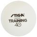 М'ячі для настільного тенісу Stiga Training ABS 12 шт (1110-2610-12) Stiga_931159 фото 1