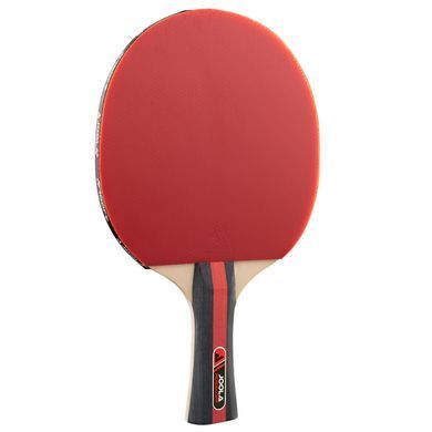 Набор для настольного тенниса Joola Rosskopf 2 Bats 3 Balls (54805) Joola_930774 фото