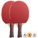Набор для настольного тенниса Joola Rosskopf 2 Bats 3 Balls (54805) Joola_930774 фото 1