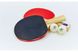 Набор для настольного тенниса Giant Dragon SUPER 40 (2 ракетки, 2 мяча c чехлом) MT-5681