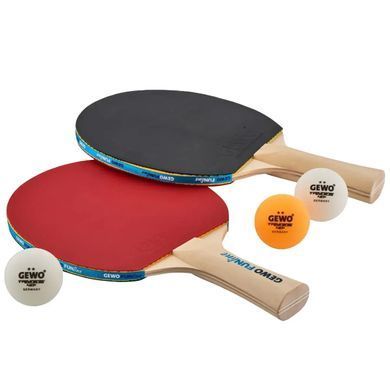 Набір для настільного тенісу Gewo Free Time 2 Bats 3 Balls + сітка (96970000) Gewo_931305 фото