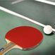 Набір для настільного тенісу Gewo Rave Speed 2 Bats 3 Balls (86080000) Gewo_931051 фото 6