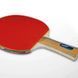 Набір для настільного тенісу Gewo Rave Speed 2 Bats 3 Balls (86080000) Gewo_931051 фото 5