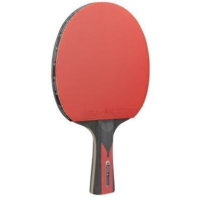 Набір для настільного тенісу Joola Duo Carbon 2 Bats 3 Balls (54822) Joola_930808 фото