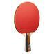 Набір для настільного тенісу Joola Family Advanced 4 Bats 6 Balls (54823) Joola_930800 фото 2