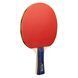 Набір для настільного тенісу Joola Family Advanced 4 Bats 6 Balls (54823) Joola_930800 фото 3