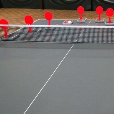 Тренувальний набір для настільного тенісу Gewo Flip-Paddle Set (109180000) Gewo_931316 фото